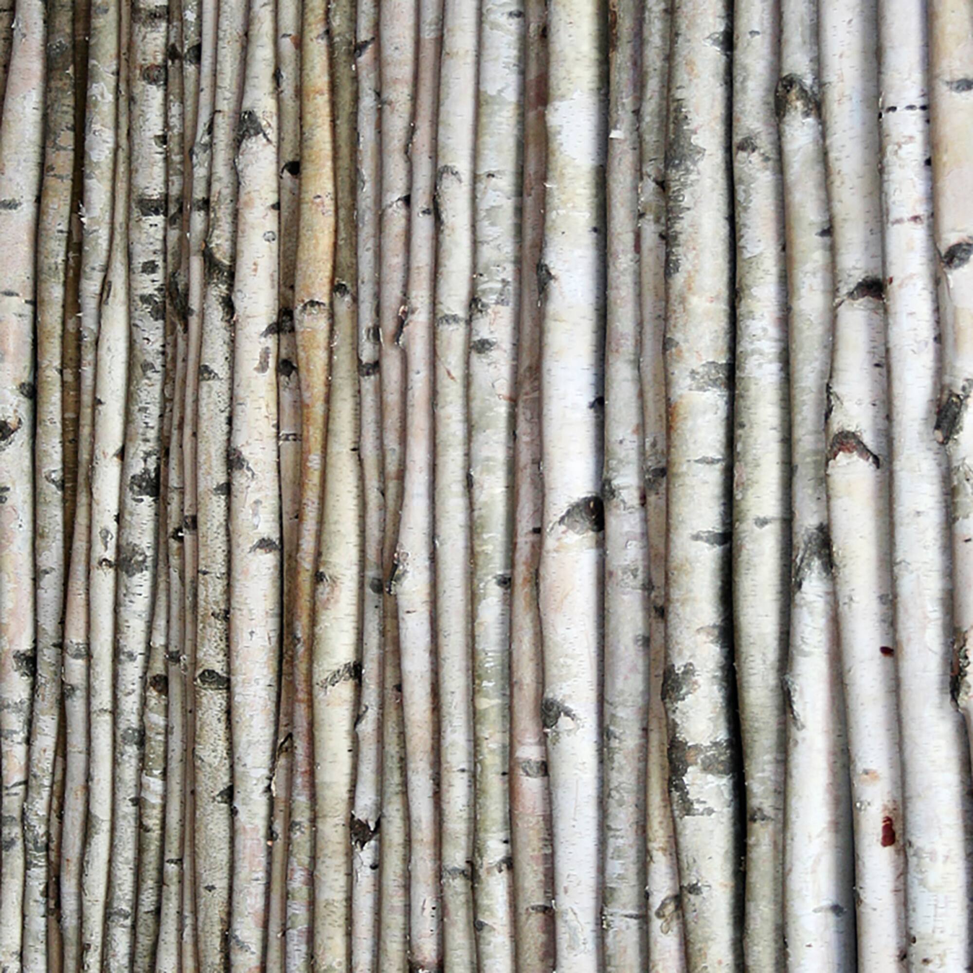 Wilson® Enterprises White Birch Poles